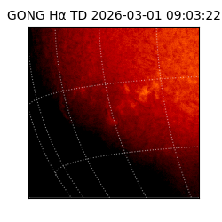 gong - 2026-03-01T09:03:22
