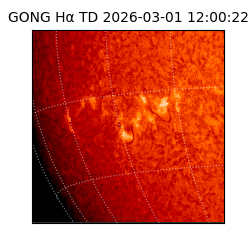 gong - 2026-03-01T12:00:22