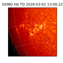 gong - 2026-03-01T13:00:22