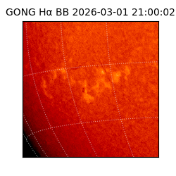 gong - 2026-03-01T21:00:02