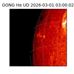 gong - 2026-03-01T03:00:02