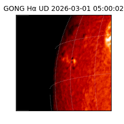 gong - 2026-03-01T05:00:02