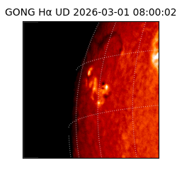 gong - 2026-03-01T08:00:02