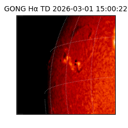 gong - 2026-03-01T15:00:22