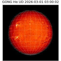 gong - 2026-03-01T03:00:02