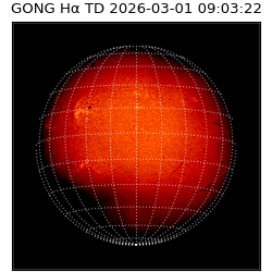 gong - 2026-03-01T09:03:22