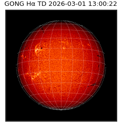gong - 2026-03-01T13:00:22