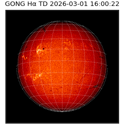 gong - 2026-03-01T16:00:22