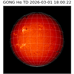 gong - 2026-03-01T18:00:22