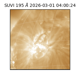 suvi - 2026-03-01T04:00:24.259000