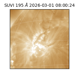 suvi - 2026-03-01T08:00:24.971000