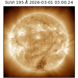 suvi - 2026-03-01T03:00:24.079000