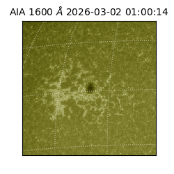 saia - 2026-03-02T01:00:14.132000