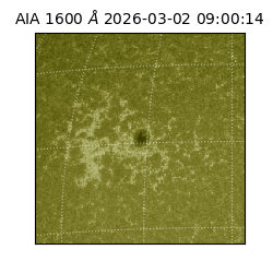 saia - 2026-03-02T09:00:14.131000