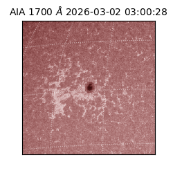 saia - 2026-03-02T03:00:28.717000