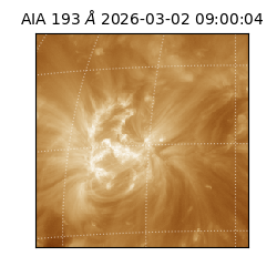 saia - 2026-03-02T09:00:04.843000