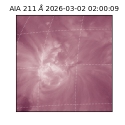 saia - 2026-03-02T02:00:09.633000