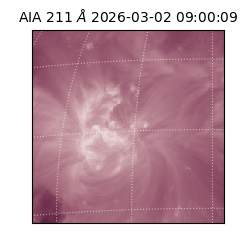 saia - 2026-03-02T09:00:09.626000