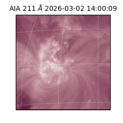 saia - 2026-03-02T14:00:09.626000