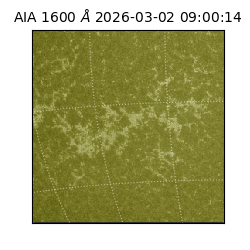 saia - 2026-03-02T09:00:14.131000