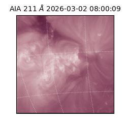 saia - 2026-03-02T08:00:09.626000