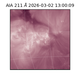 saia - 2026-03-02T13:00:09.625000