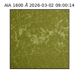 saia - 2026-03-02T09:00:14.131000