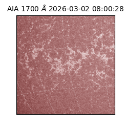 saia - 2026-03-02T08:00:28.709000