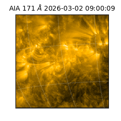 saia - 2026-03-02T09:00:09.351000