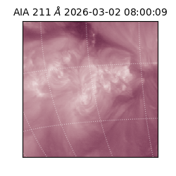 saia - 2026-03-02T08:00:09.626000