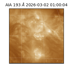 saia - 2026-03-02T01:00:04.843000