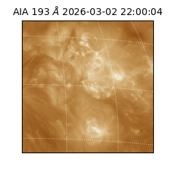 saia - 2026-03-02T22:00:04.843000