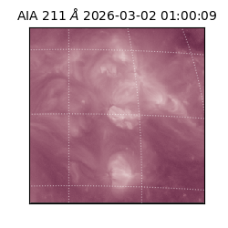 saia - 2026-03-02T01:00:09.626000