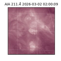 saia - 2026-03-02T02:00:09.633000