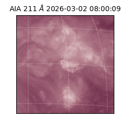 saia - 2026-03-02T08:00:09.626000