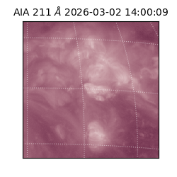 saia - 2026-03-02T14:00:09.626000