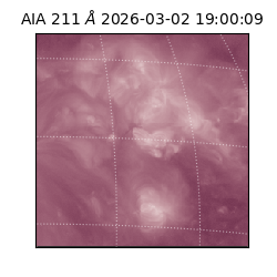 saia - 2026-03-02T19:00:09.626000