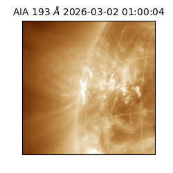 saia - 2026-03-02T01:00:04.843000