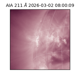 saia - 2026-03-02T08:00:09.626000