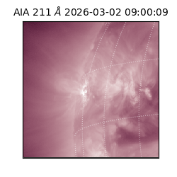 saia - 2026-03-02T09:00:09.626000