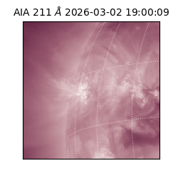 saia - 2026-03-02T19:00:09.626000