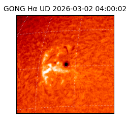 gong - 2026-03-02T04:00:02