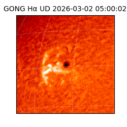 gong - 2026-03-02T05:00:02