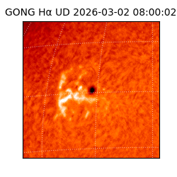 gong - 2026-03-02T08:00:02