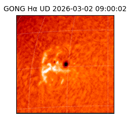 gong - 2026-03-02T09:00:02