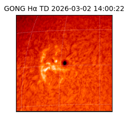 gong - 2026-03-02T14:00:22