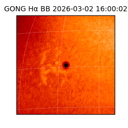gong - 2026-03-02T16:00:02