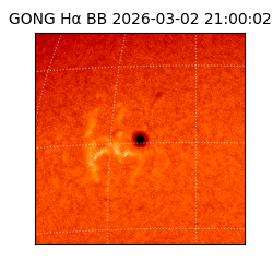 gong - 2026-03-02T21:00:02