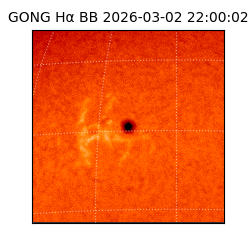 gong - 2026-03-02T22:00:02