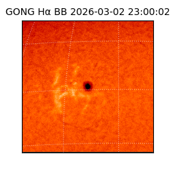 gong - 2026-03-02T23:00:02